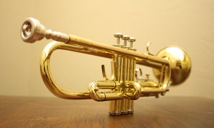how-much-does-a-trumpet-cost-image-1