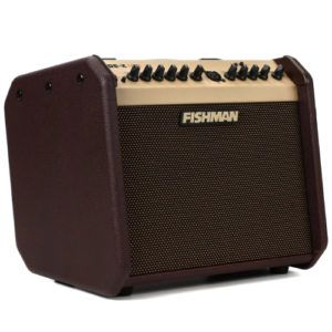 Fishman Loudbox Mini BT 60-watt 1x 6.5-inch Acoustic Combo Amp